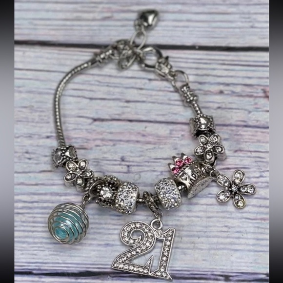 10 Europeon Pandora Style Snake Chain Bracelets DIY Jewelry Making BULK Lot - Picture 8 of 10